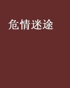 **危情迷途：一场心灵的自我救赎**
