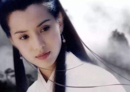 《小龙女别传之孽海别情：绝情谷外的红尘劫》