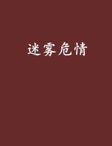 **危情迷雾:暗夜中的谜团与救赎**