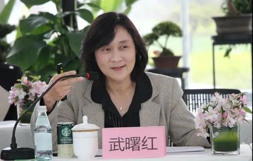 《一周的朋友:徐又树对徐洁的情感探析》