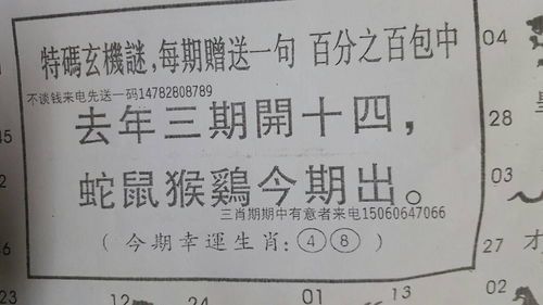 天生一对成伴侣，畜中只有三只爪