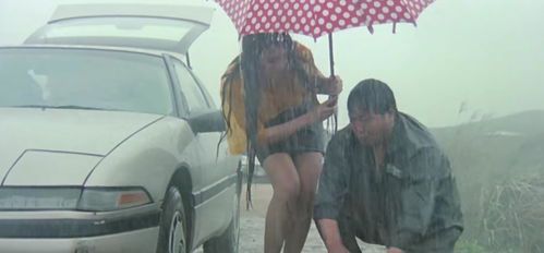 火烧岛奇遇：雨中爆胎惊魂记
