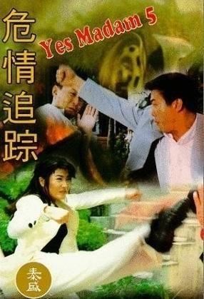 危险追踪：暗夜中的生死时速