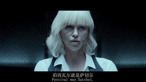 《极寒之城：暗战柏林的特工迷局》