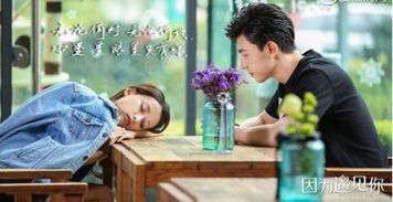 《遇见你之后：向园的爱情故事与免费观看指南》