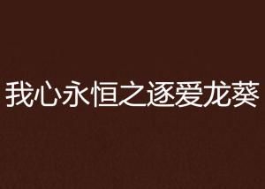 追逐真爱的心灵之旅:《逐爱之心》全集免费观赏指南