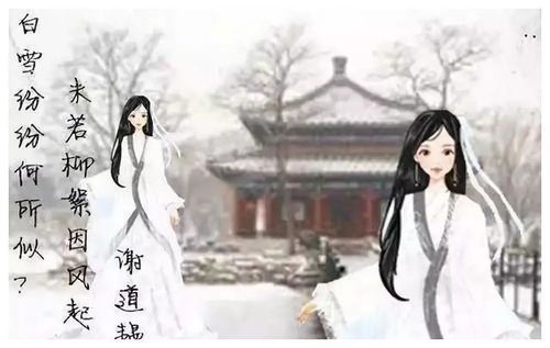 错嫁风起：何秋棠的浮生劫