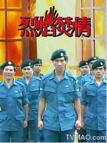 焚情:爱恨交织的烈焰人生