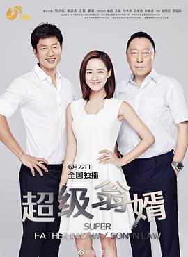 超级翁婿电视剧全40集