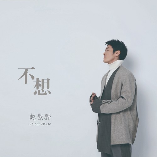 不想歌词-赵紫骅