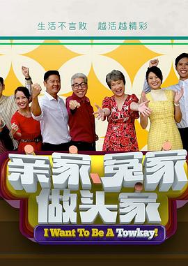 亲家冤家做头家电视剧全20集