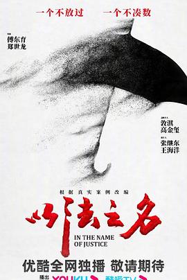 以法之名电视剧全36集