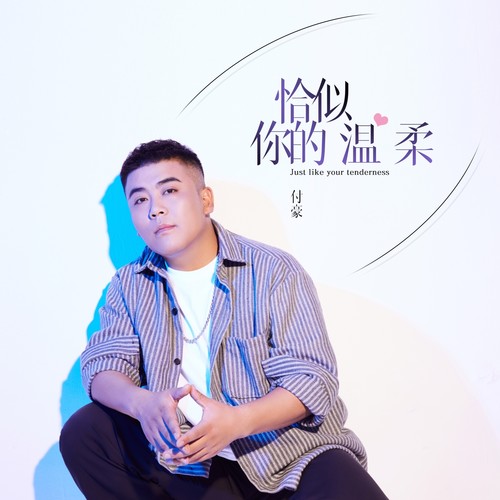 恰似你的温柔 (伴奏)歌词-付豪