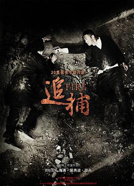 追捕电视剧全30集