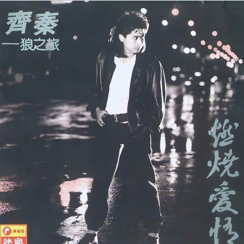 冬雨歌词-齐秦