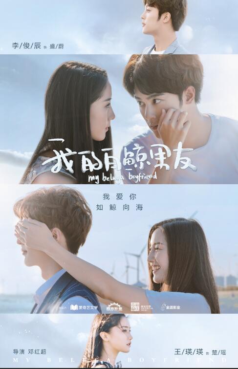我的白鲸男友电视剧全24集