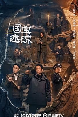 护宝寻踪电视剧全36集