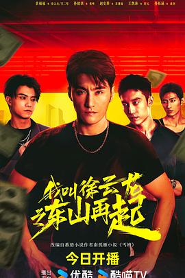 我叫徐云龙之东山再起电视剧全24集