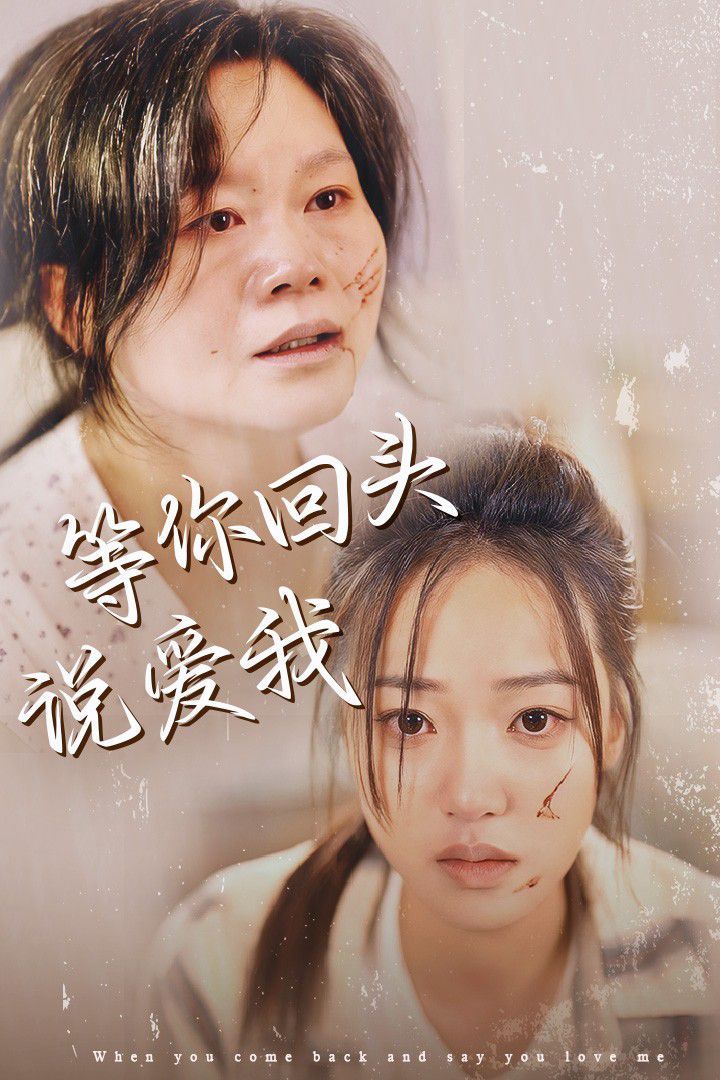 等你回头说爱我短剧全87集