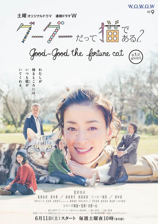 咕咕是一只猫2电视剧全4集