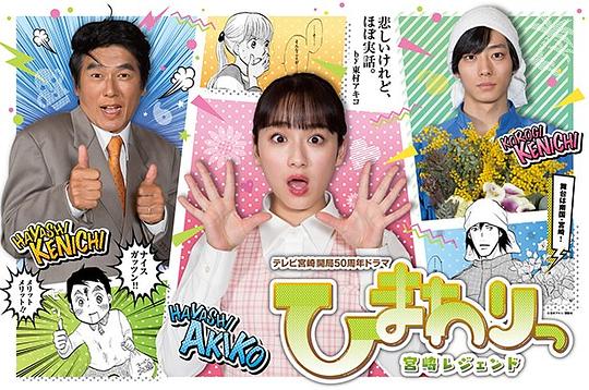向日葵:宫崎传奇电视剧全10集