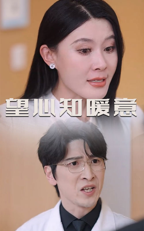 望心知暖意短剧全31集