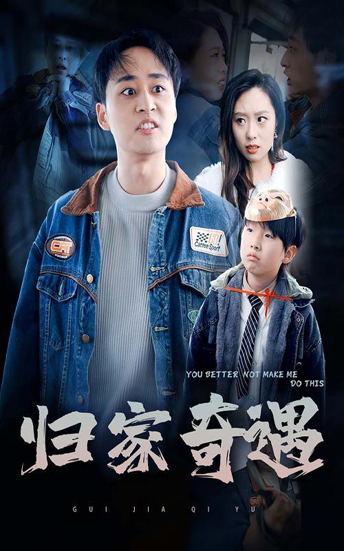 归家奇遇短剧全30集