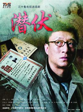 潜伏电视剧全30集