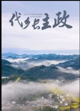 代乡长主政电影HD国语版