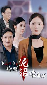 第二十条之婚姻沼泽难自拔短剧全31集