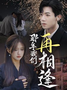 那年我们再相逢短剧全65集